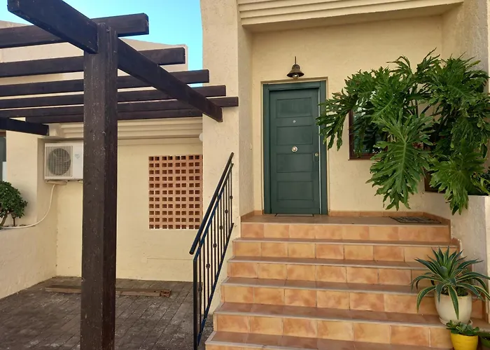 Olivos G