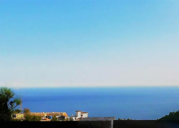Olivos G * アルテア