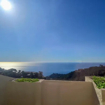 Olivos G * Altea