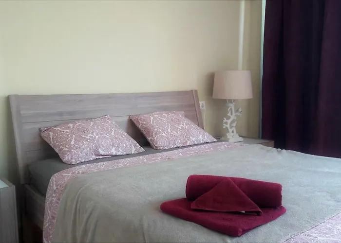 Olivos G * 알테아