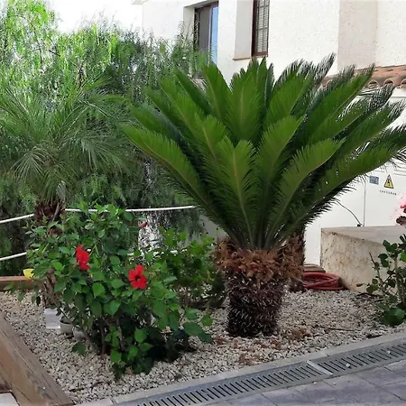 Olivos G Сasa de vacaciones